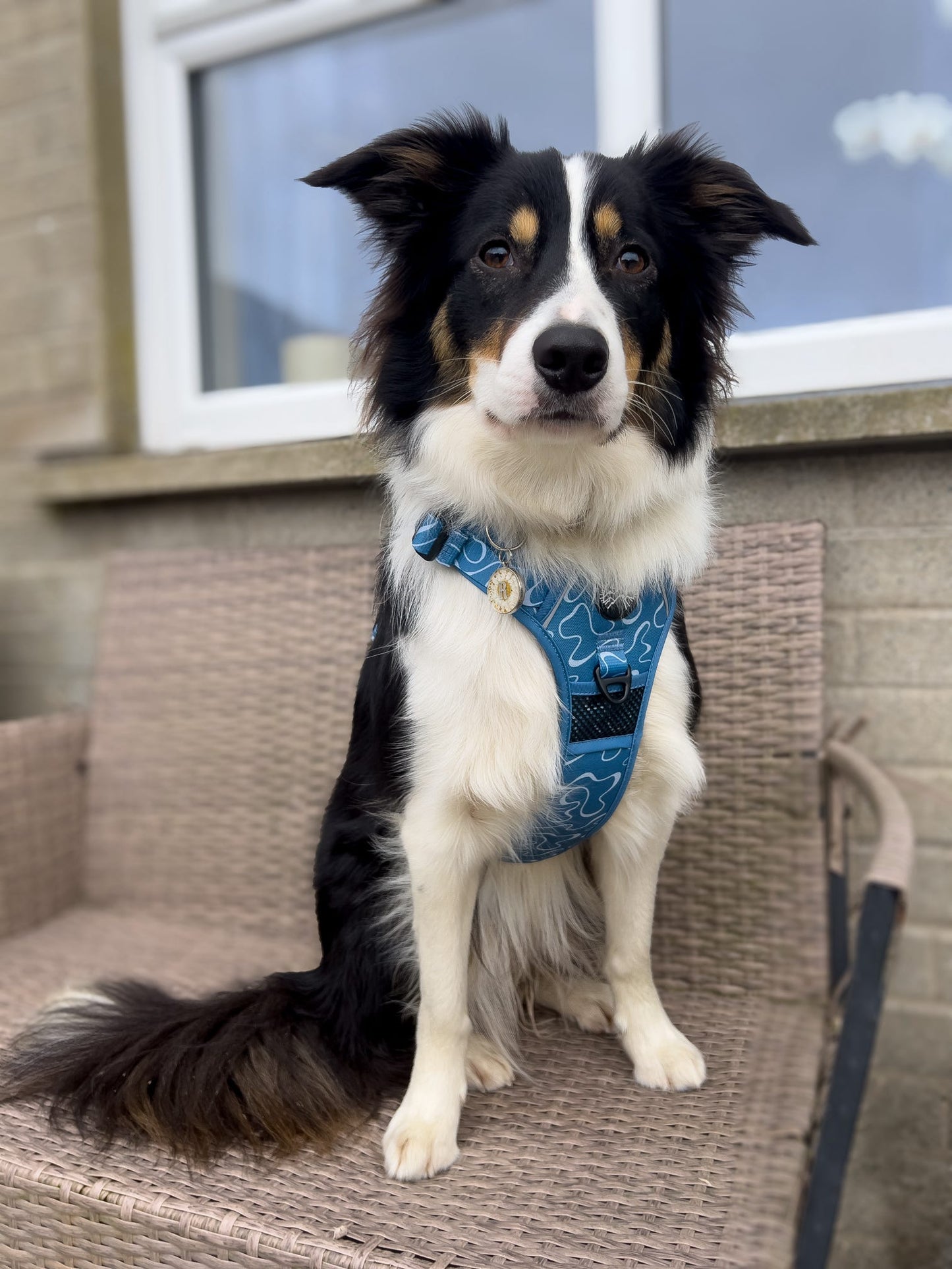 Blauwe golven harnas