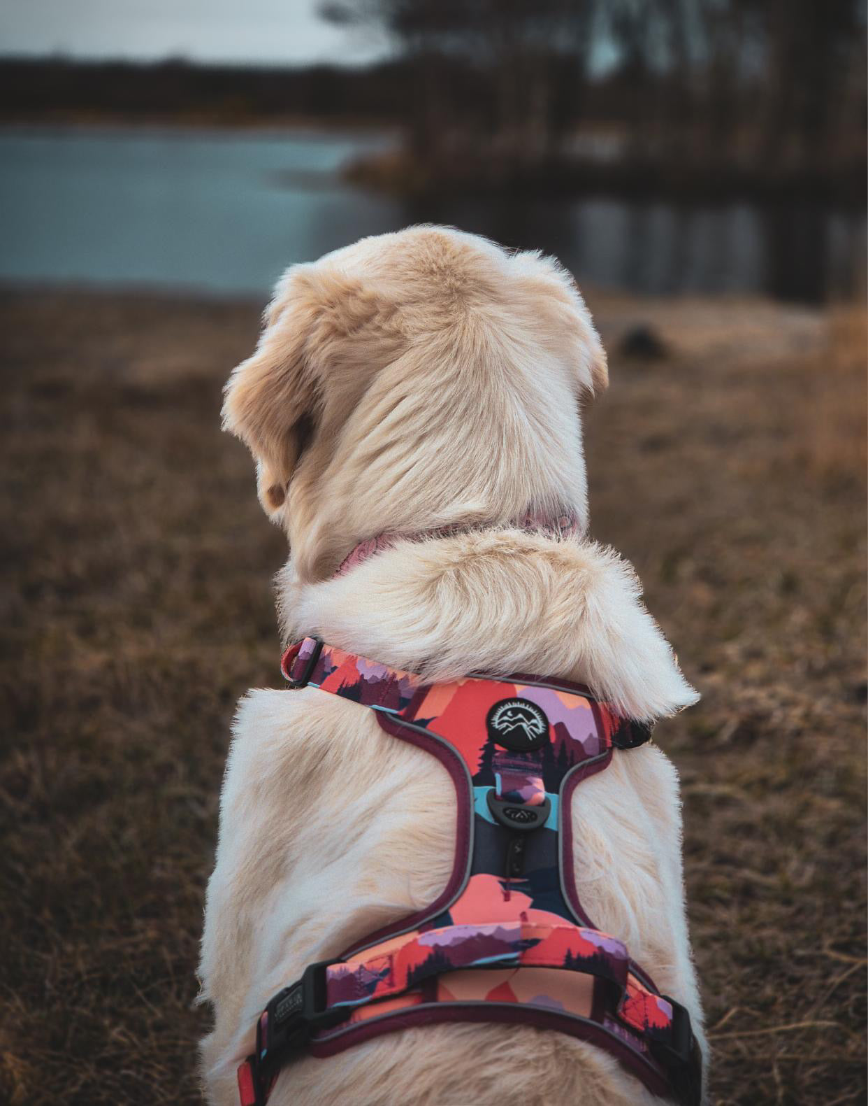 Sedona Skies Harness