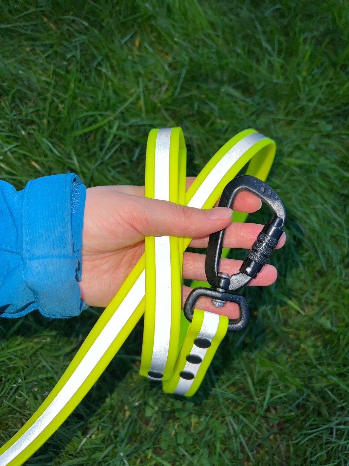 Reflective set (Collar & lead) - Apparel By Unleashed