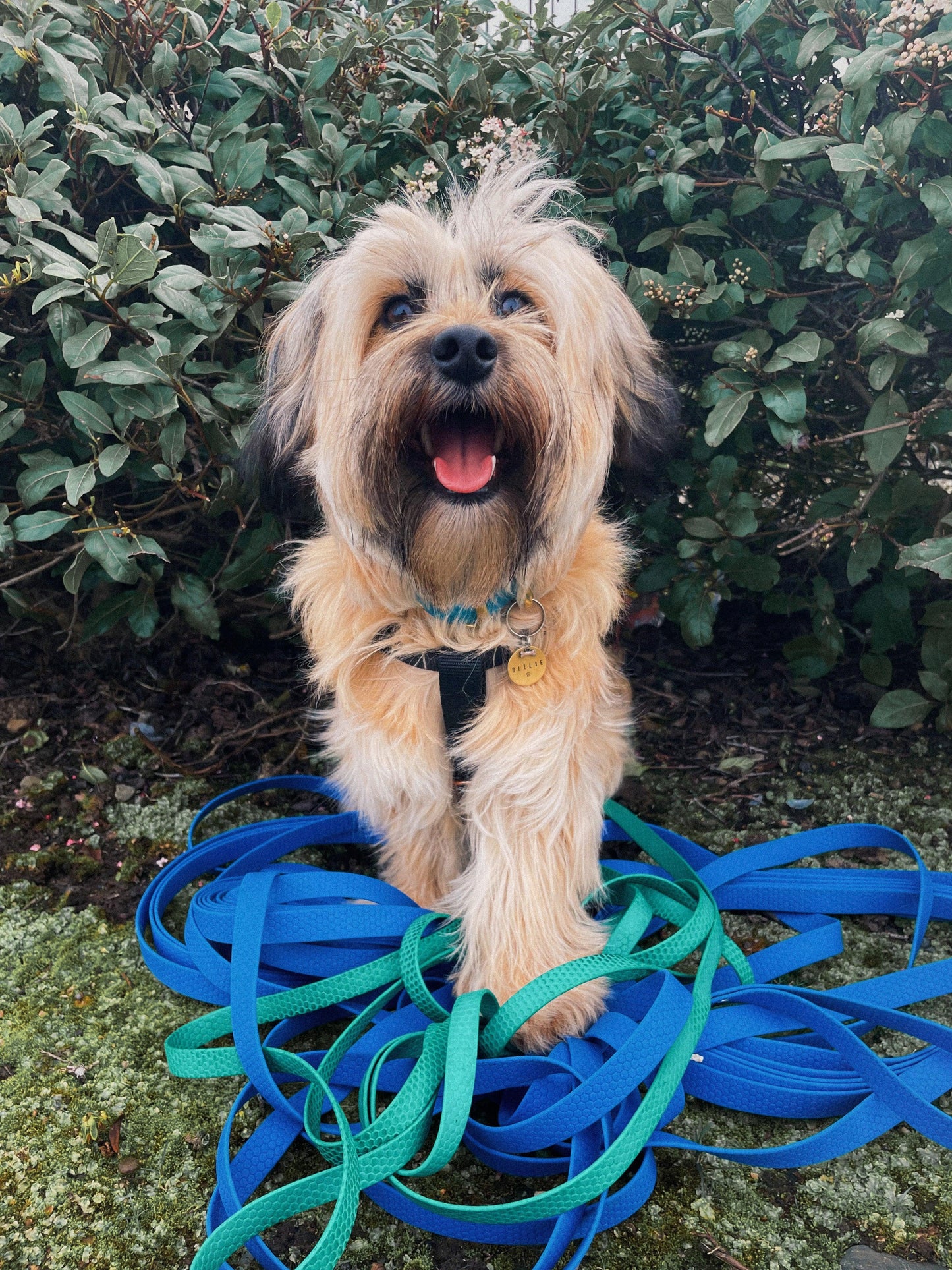 Waterproof long leads - Apparel By Unleashed