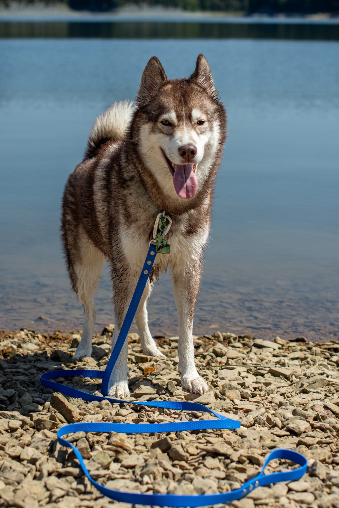 Waterproof long leads