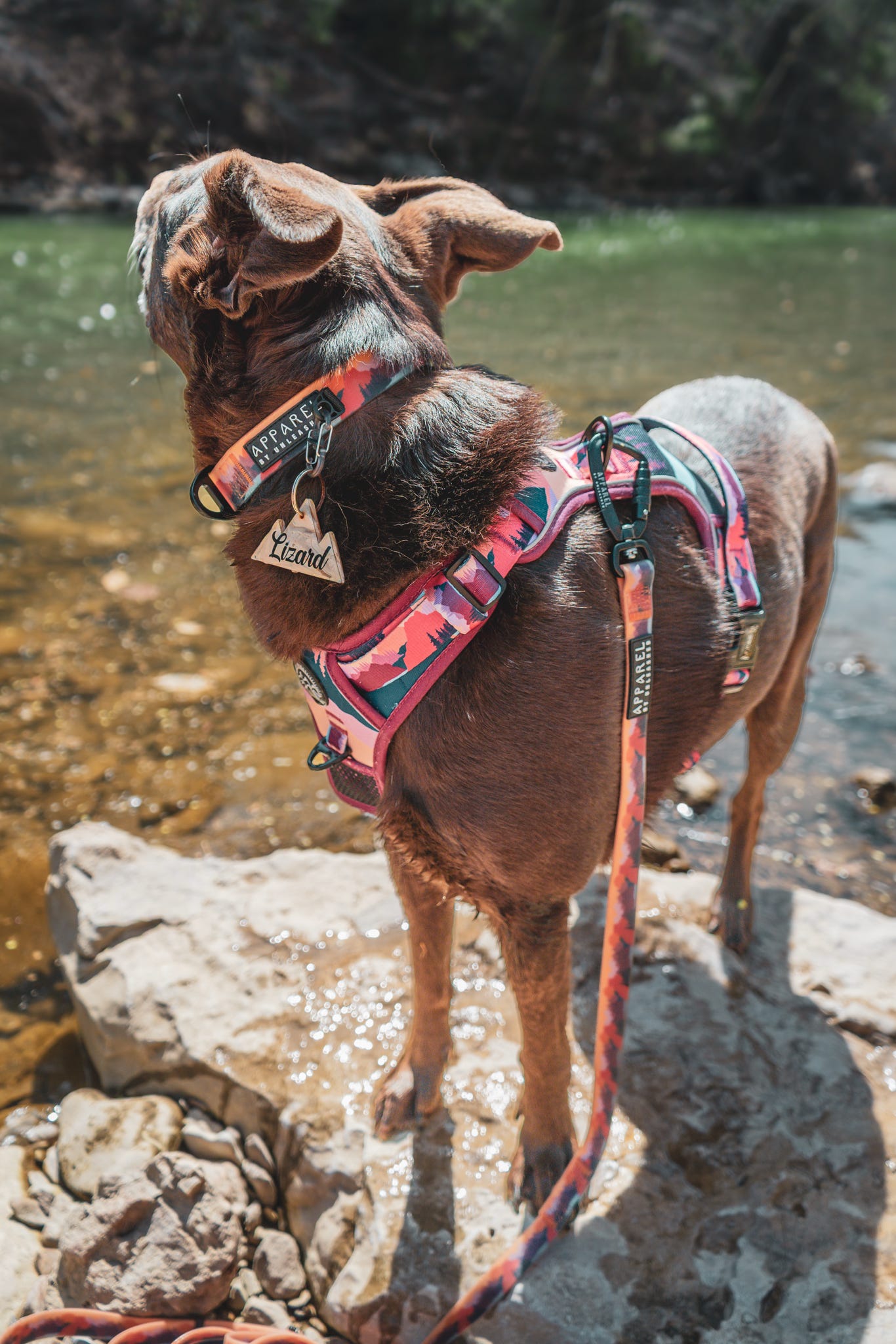 Sedona Skies Harness