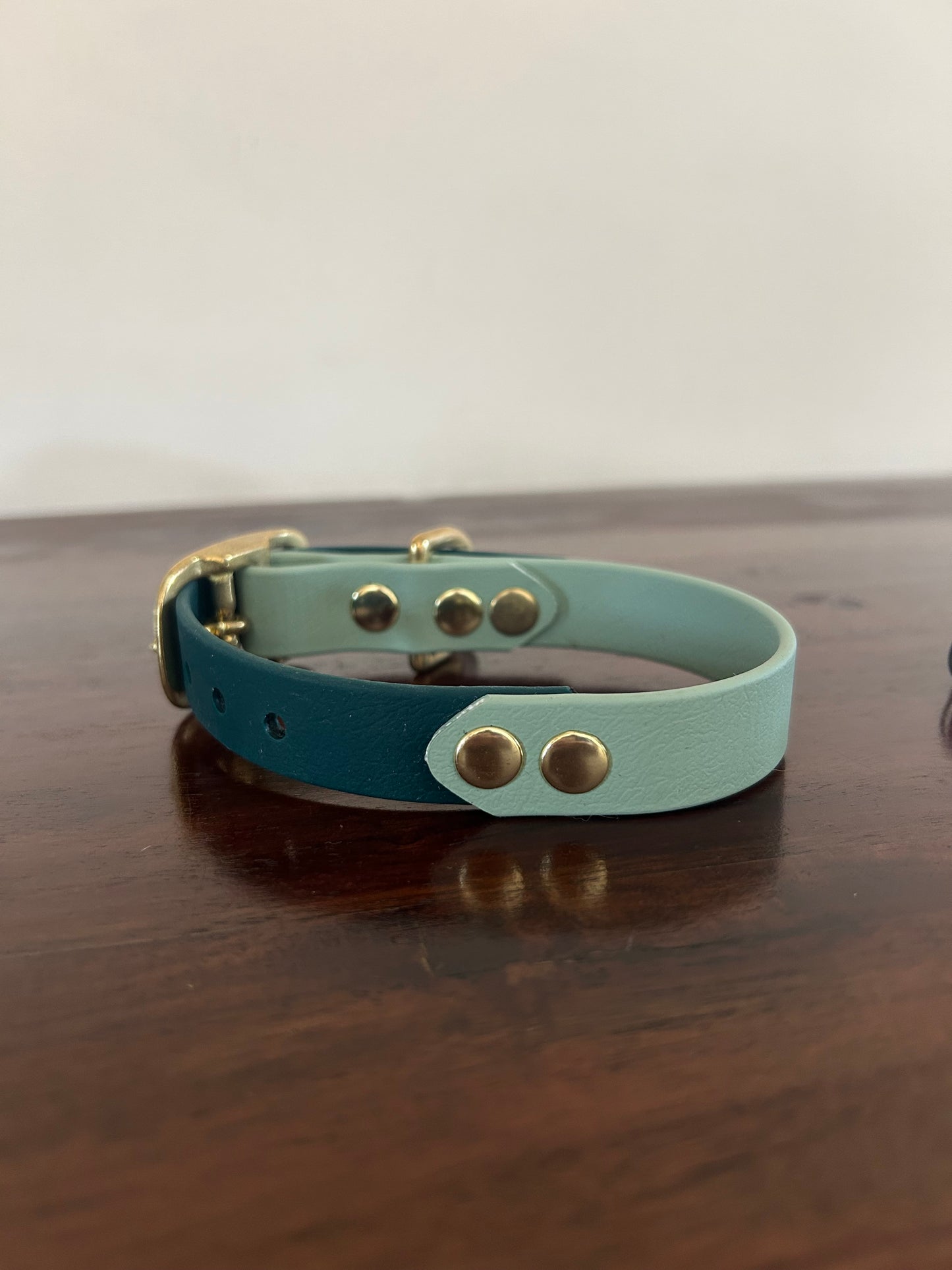 XS collar SALE