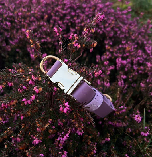 Quick Release Dog Collars