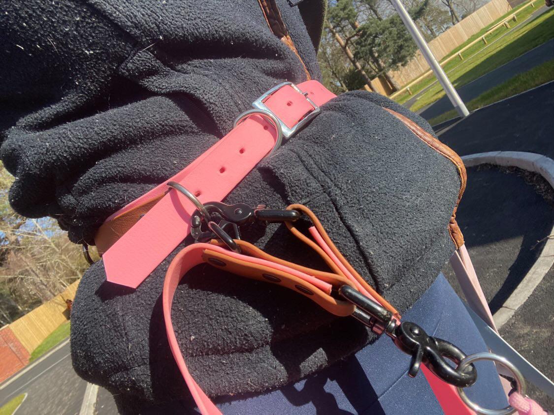 Dog walking belt- handsfree walking - Apparel By Unleashed