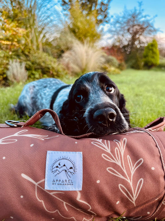 This One Skill Can Help Your Pup! - Apparel By Unleashed