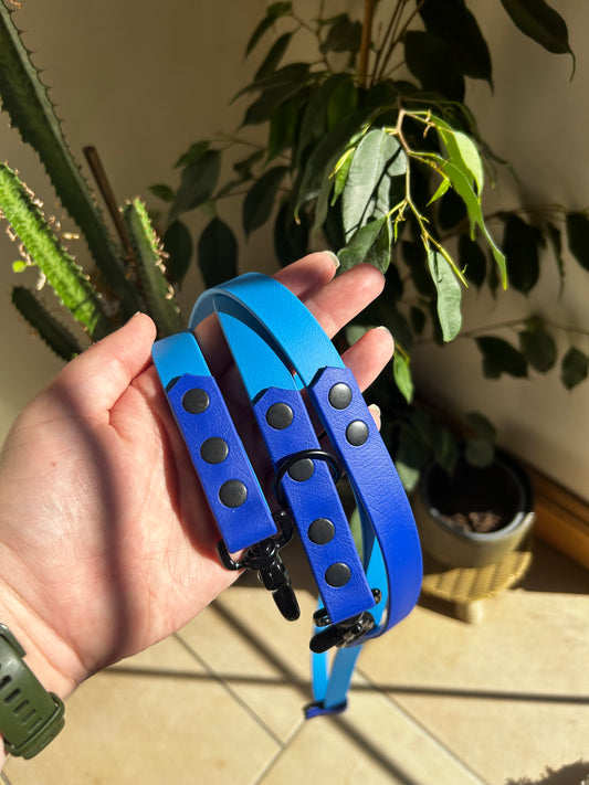 Why Choose Biothane for your dog? - Apparel By Unleashed