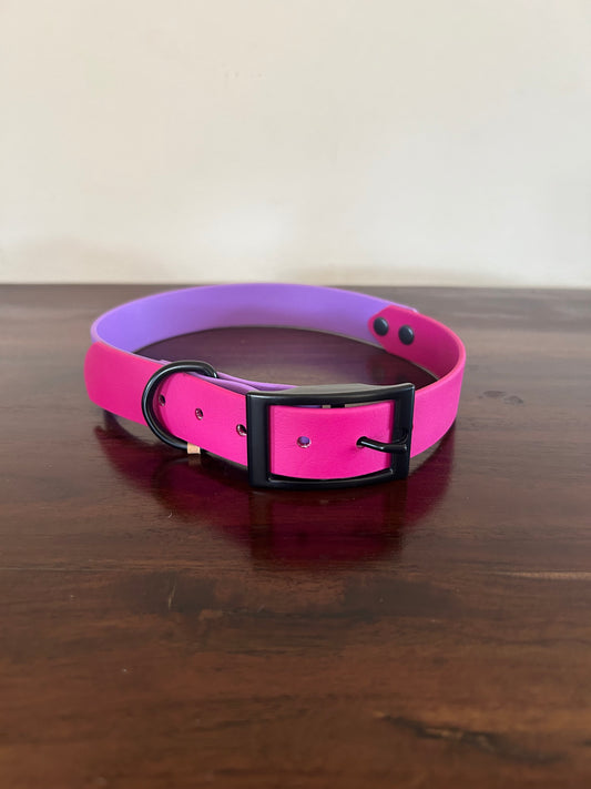 L collars SALE