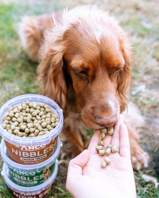 Anco nibbles - training treats
