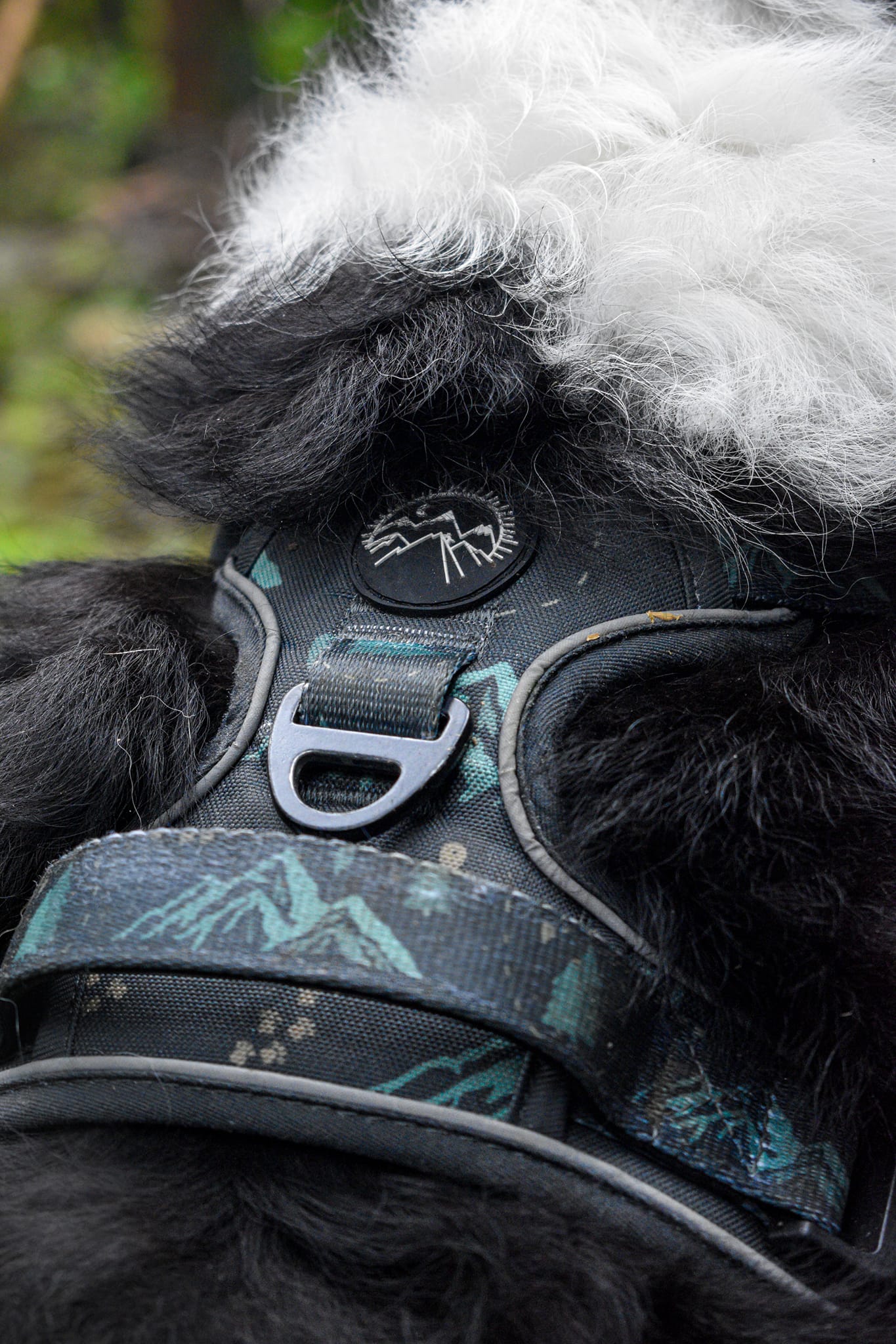 Go Wilder Harness