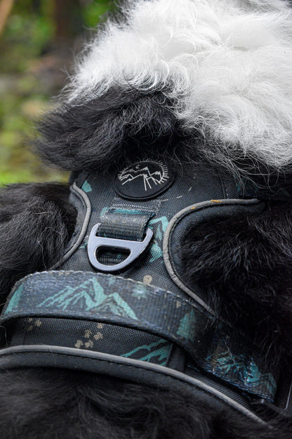 Go Wilder Harness