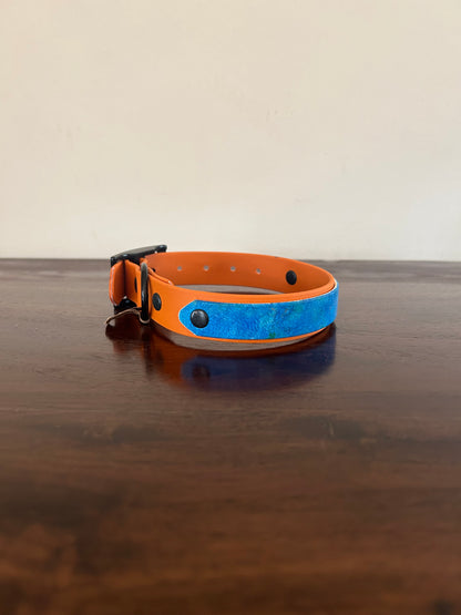S collars SALE
