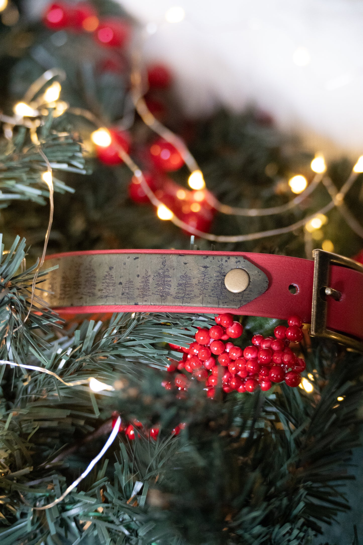 Cork X Biothane Collar- Elderbark