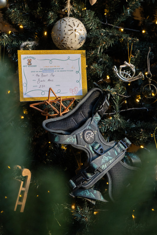 Get Wild, Get Unleashed