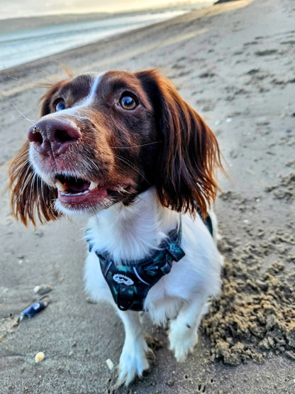 Go Wilder Harness