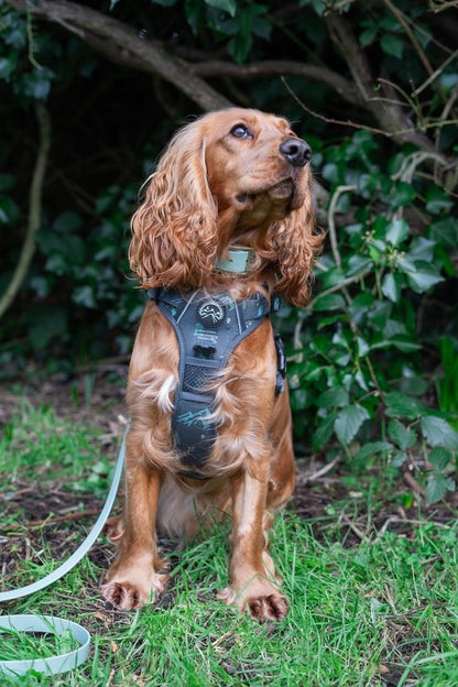 Go Wilder Harness