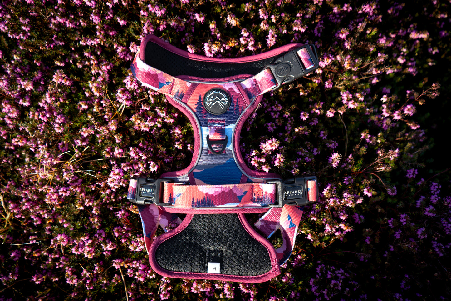 Sedona Skies Harness