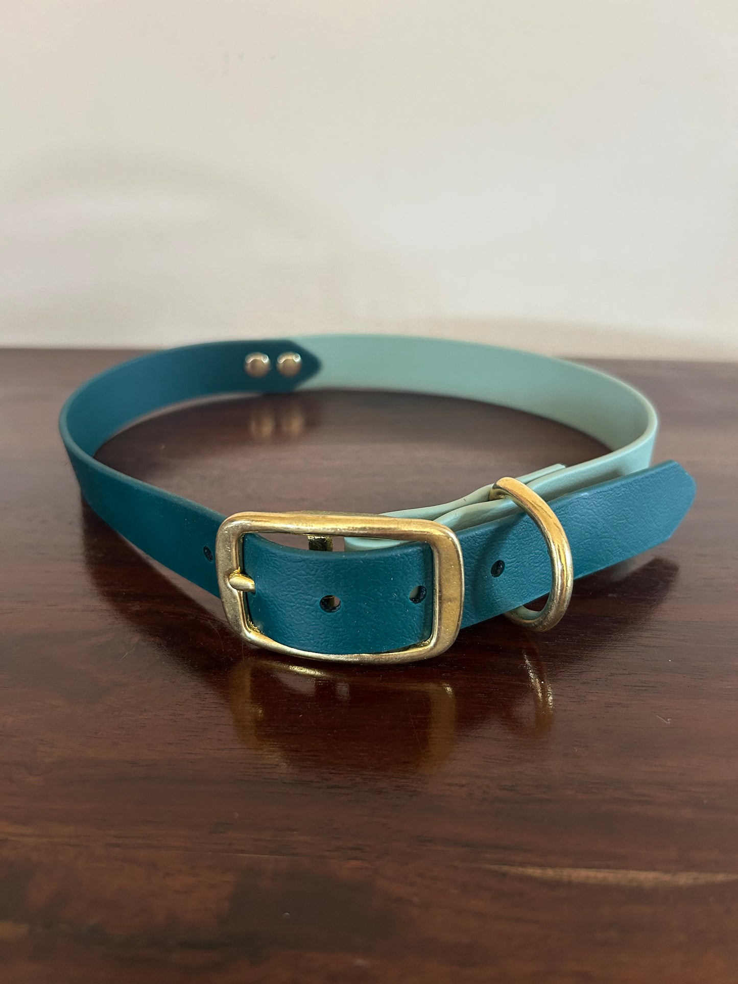 XL collars SALE