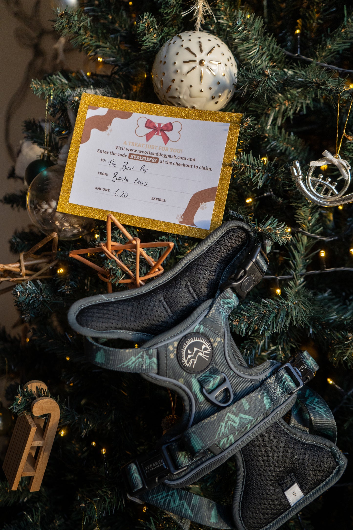 Go Wild, Go Woofland