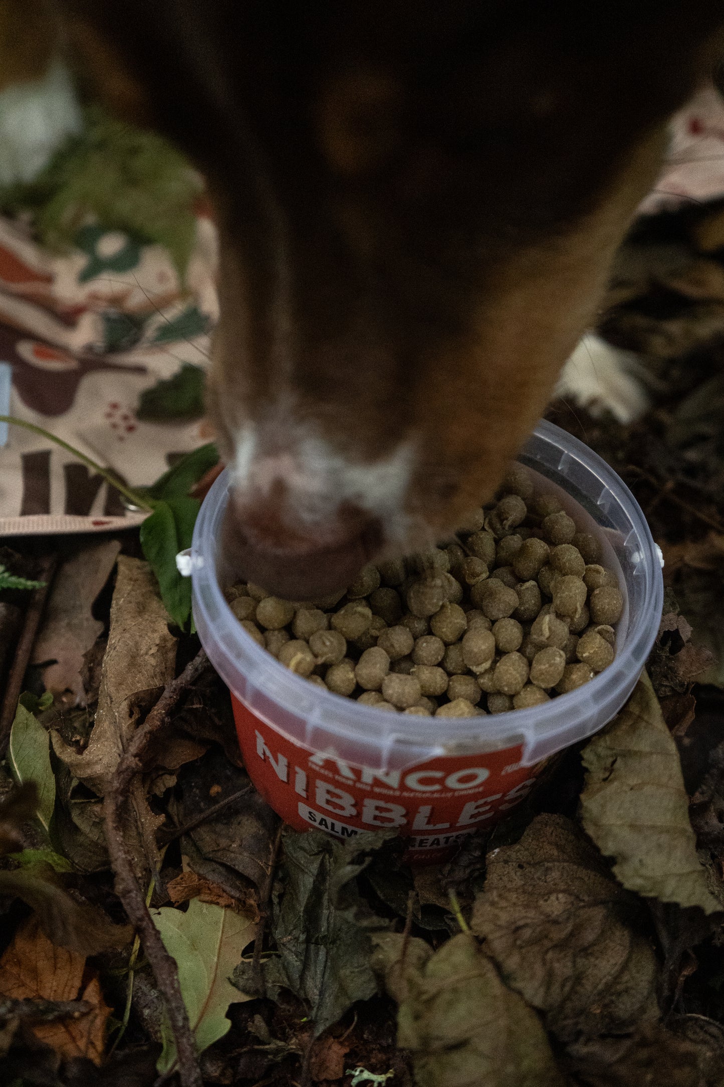 Anco nibbles - training treats