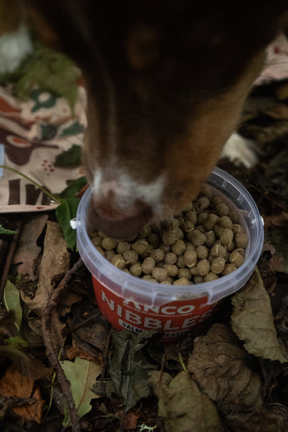 Anco nibbles - training treats