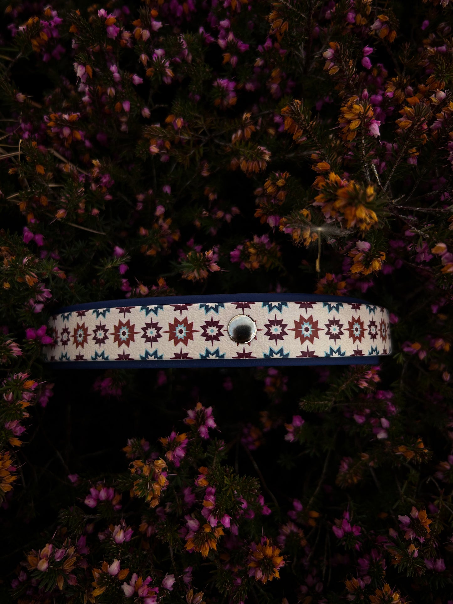 Venture Biothane Collar