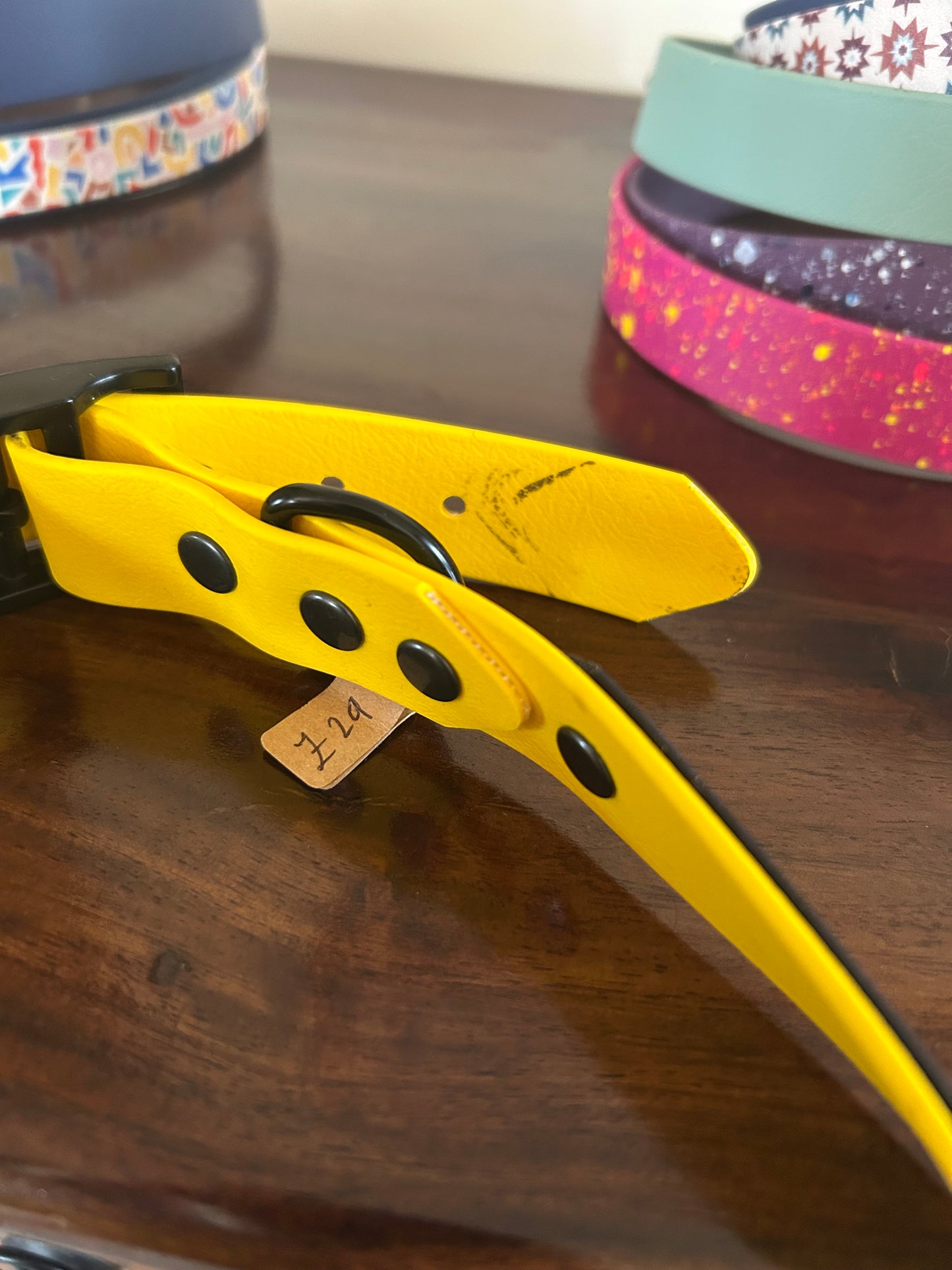 XL collars SALE