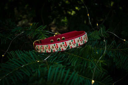 Festive Trails Biothane Collar