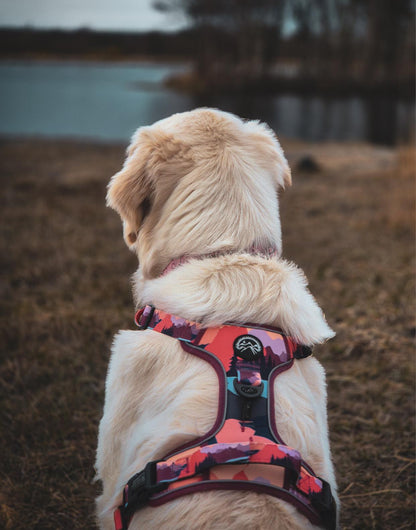 Sedona Skies Harness