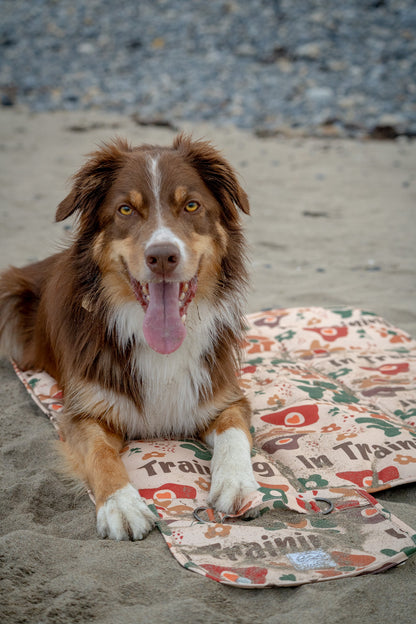 The settler bundle - in training