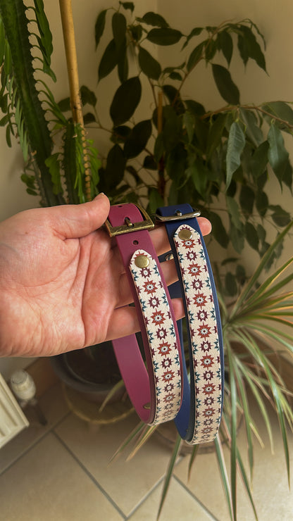 Venture Biothane Collar