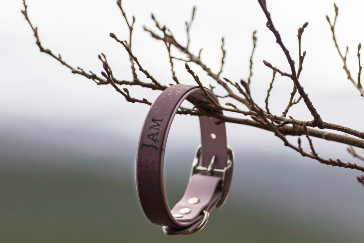 Blauwe golven biothane halsband