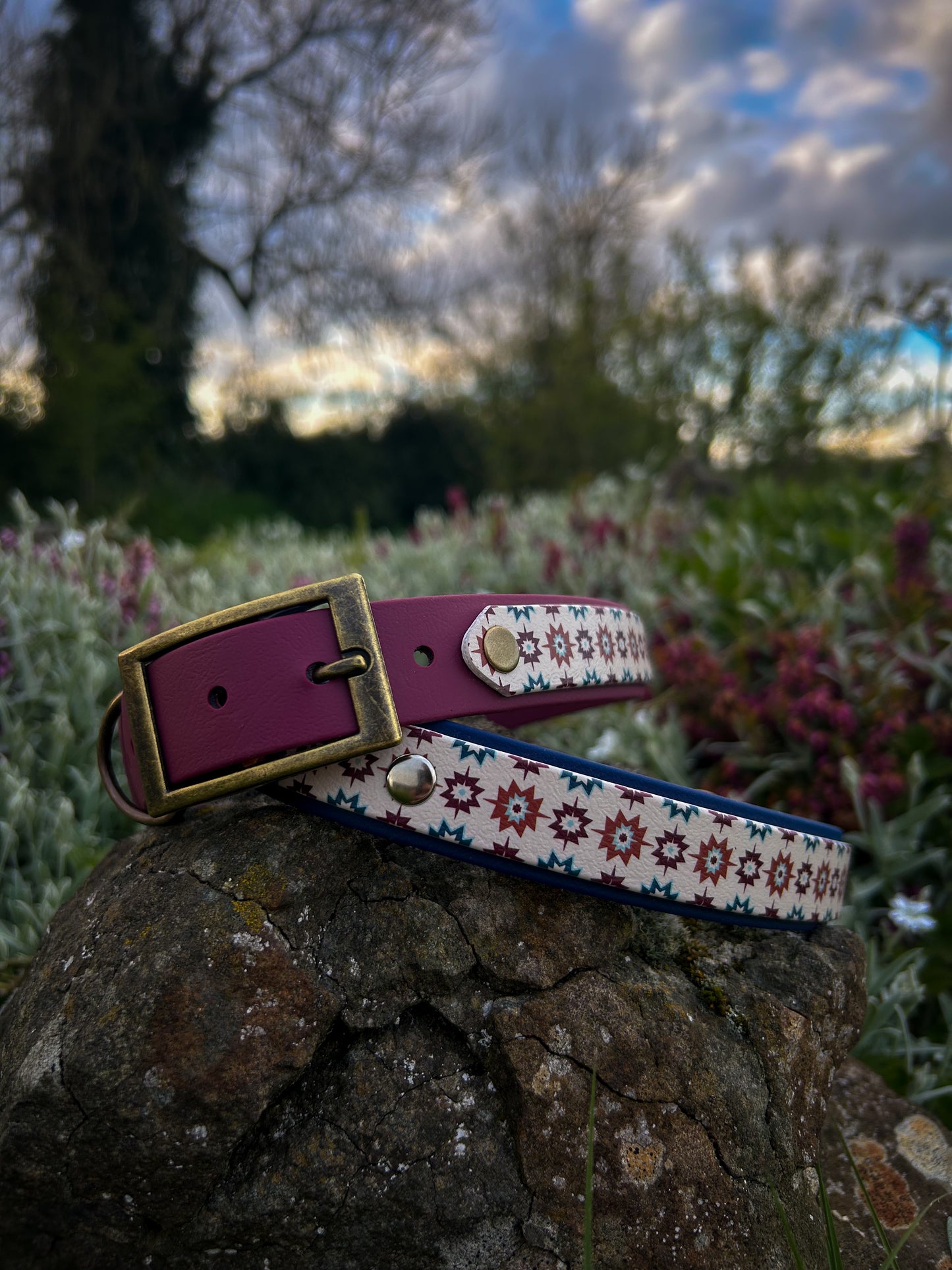 Venture Biothane Collar
