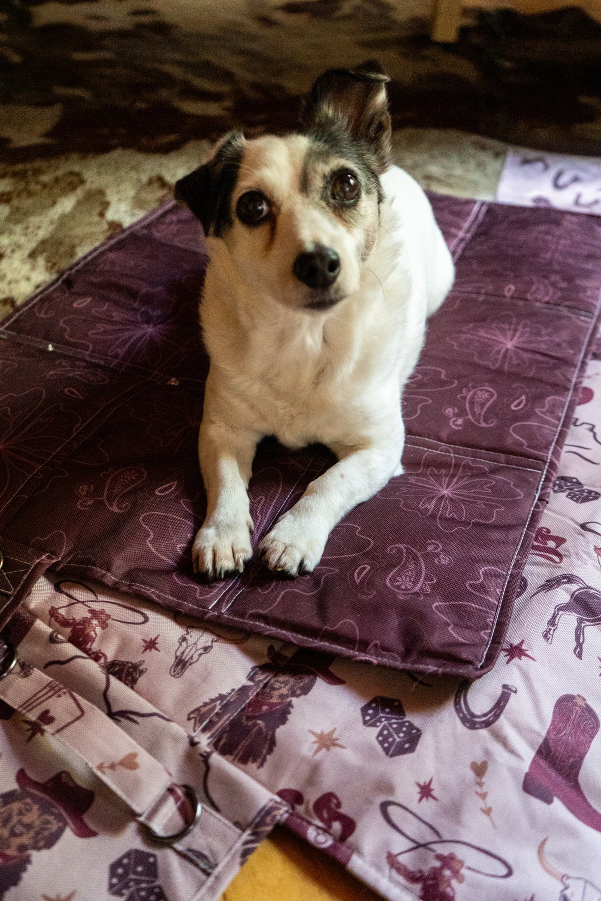 Settle mats - Pawsley