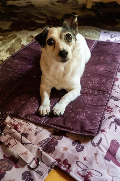 Settle mats - Pawsley