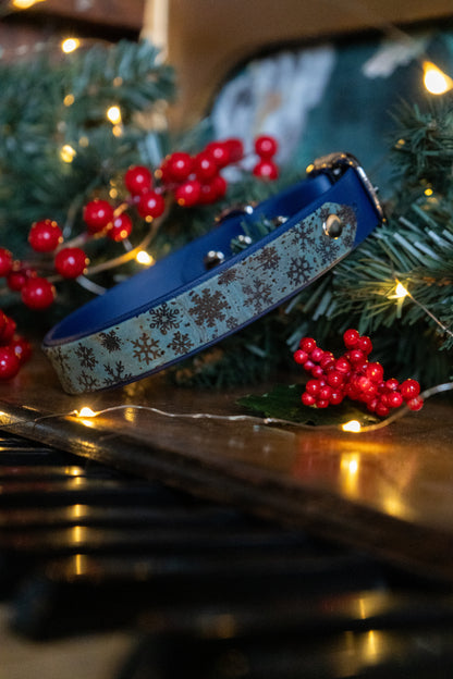 Cork X Biothane Collar- Frostbite