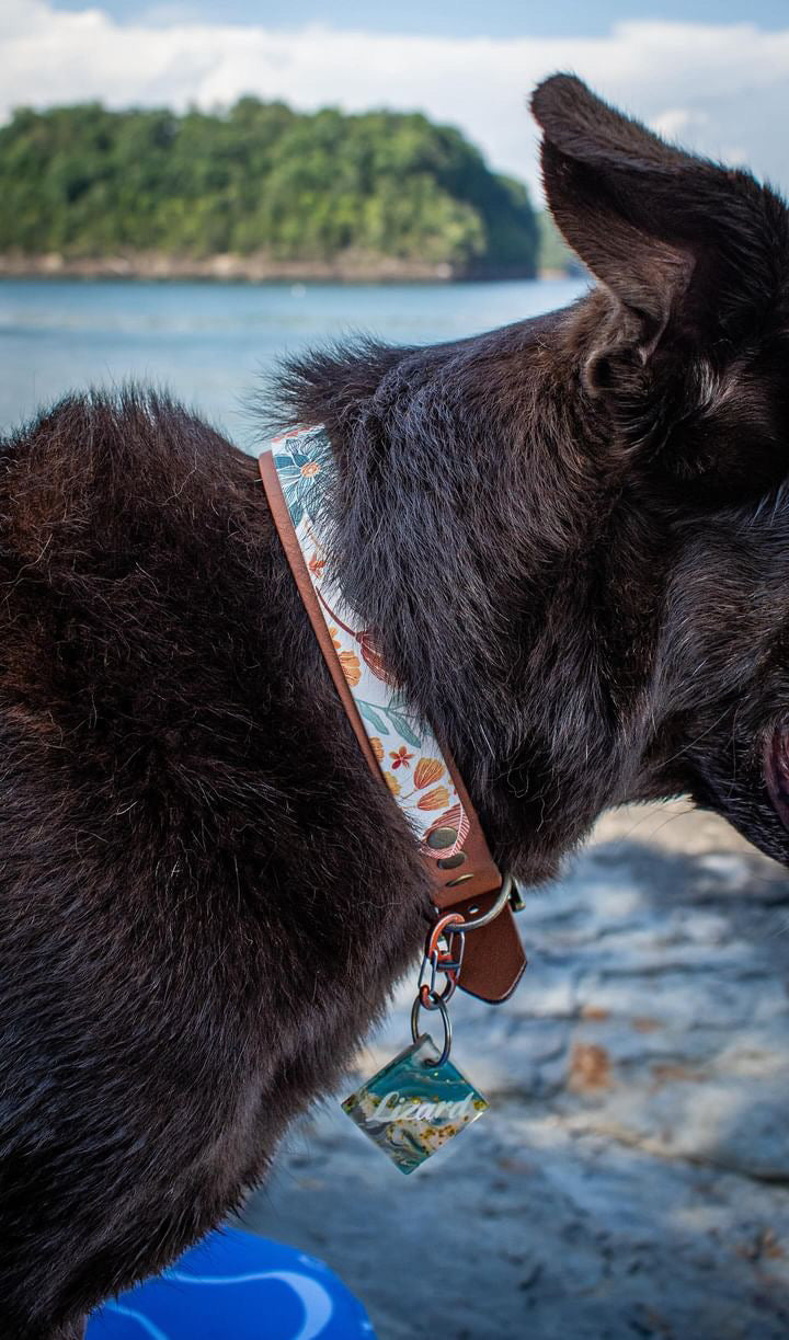 Botanical Dream Biothane Collar