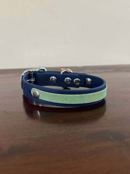 XS collar SALE