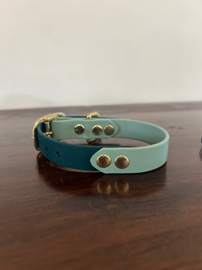 XS collar SALE