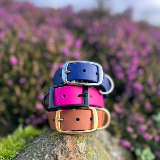 Single Colour Biothane Collar - Apparel By Unleashed