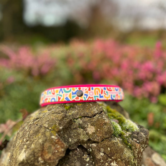 Elektrische Dream-biothane hondenhalsband