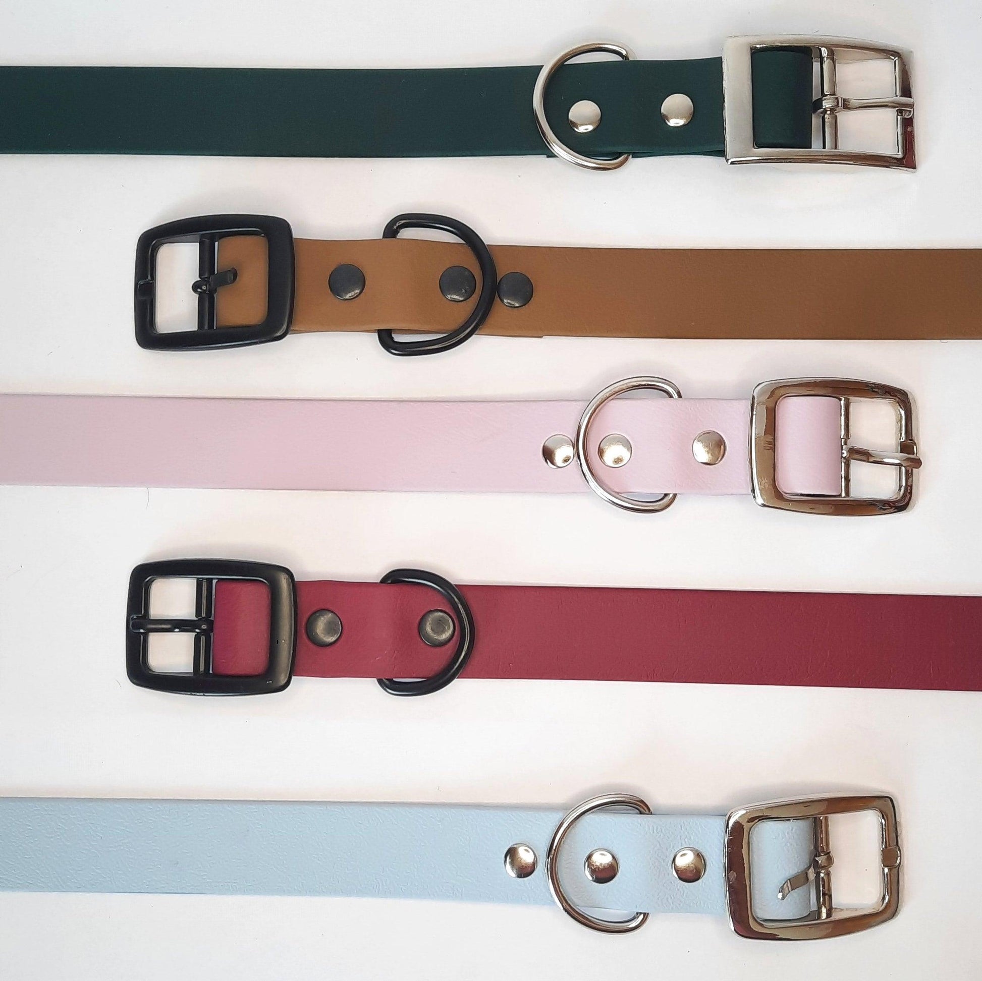 Single Colour Biothane Collar - Apparel By Unleashed