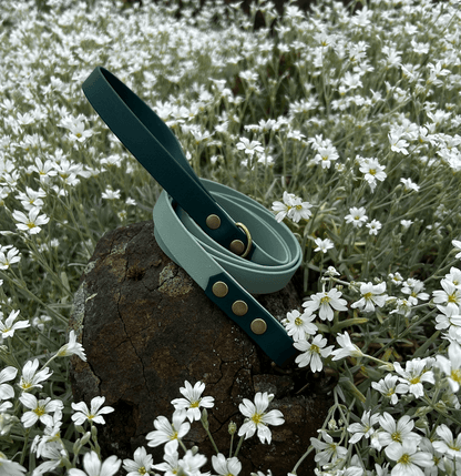 Two Tone Biothane Lead - Apparel By Unleashed