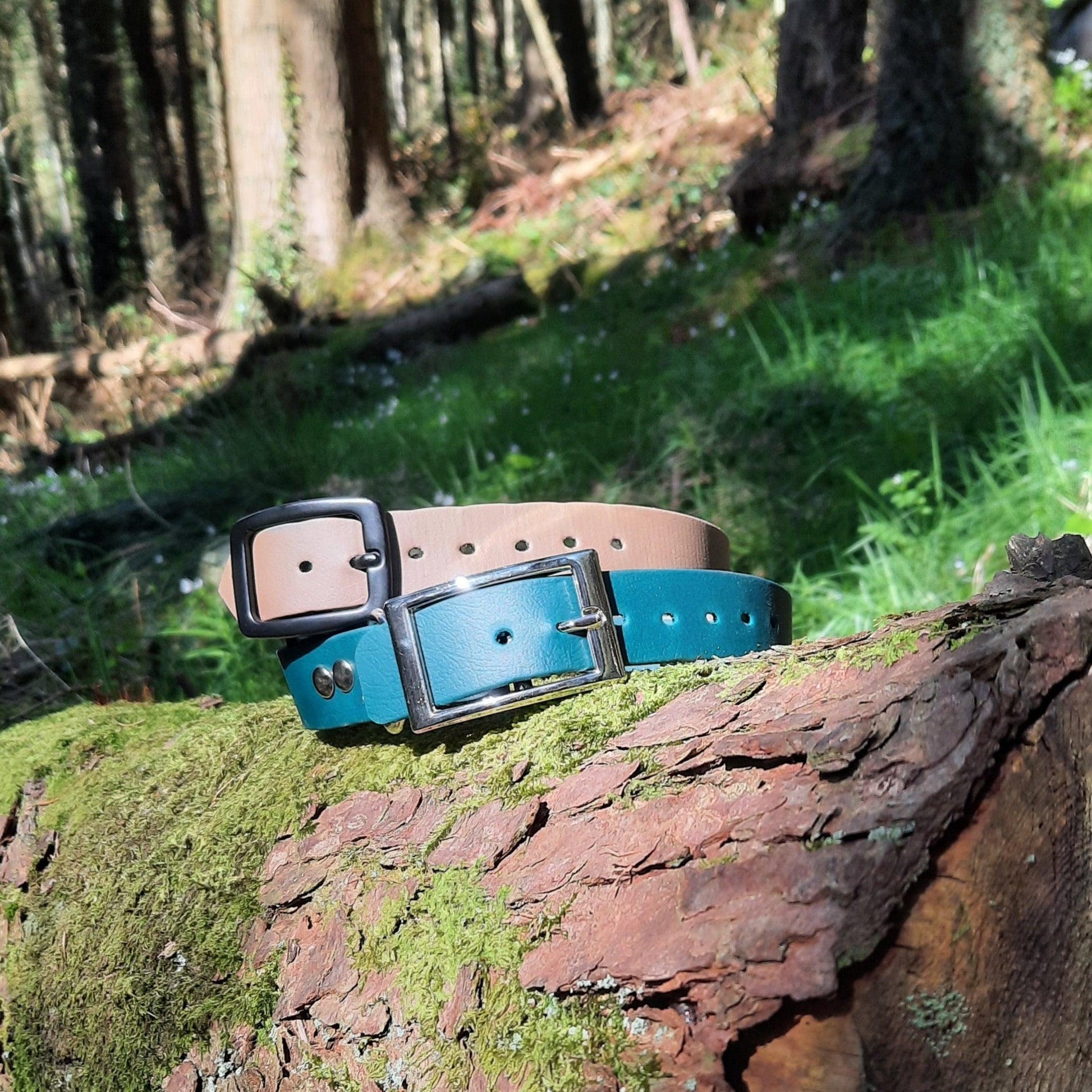 Single Colour Biothane Collar - Apparel By Unleashed