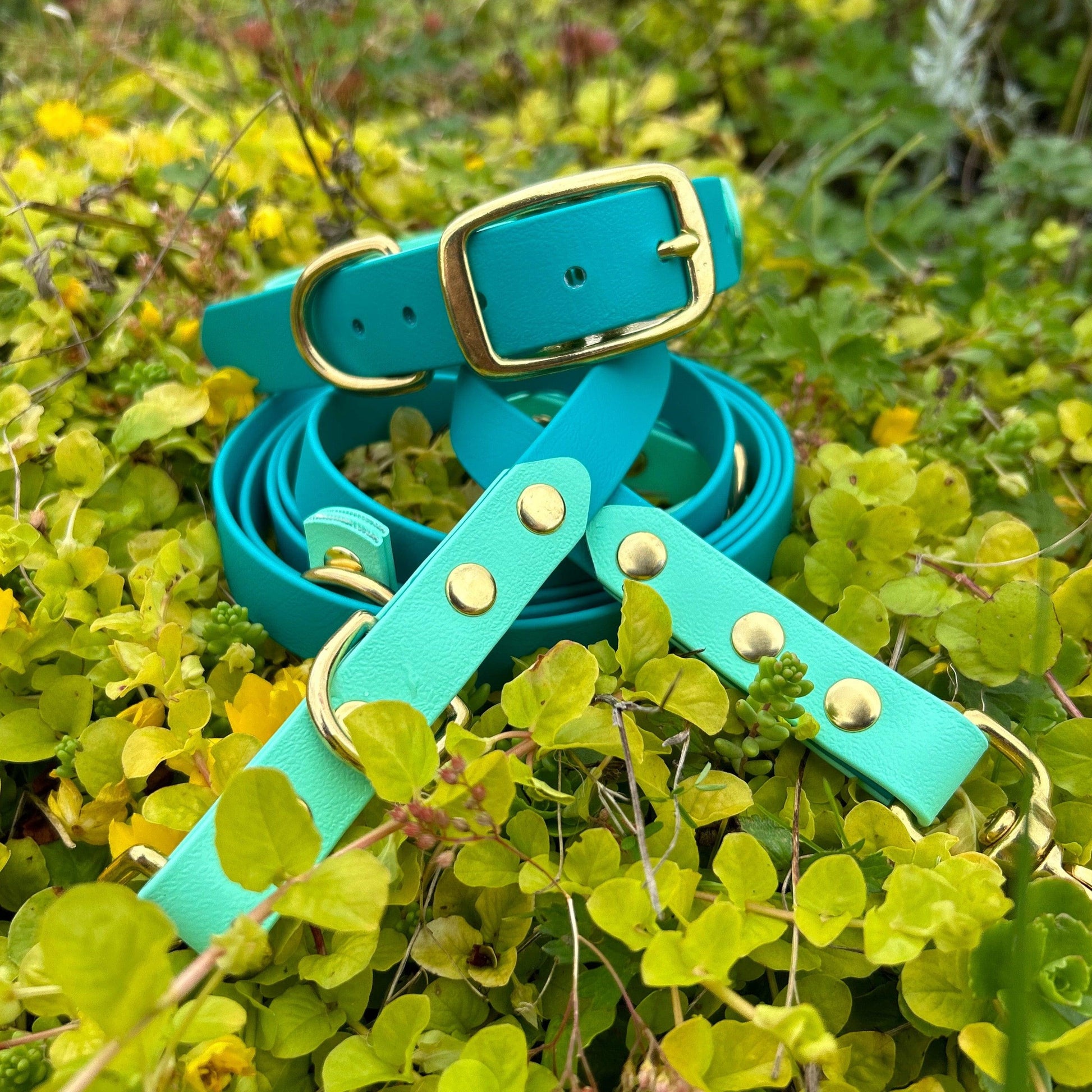 Two tone Convertible lead- 5 in 1 - Apparel By Unleashed